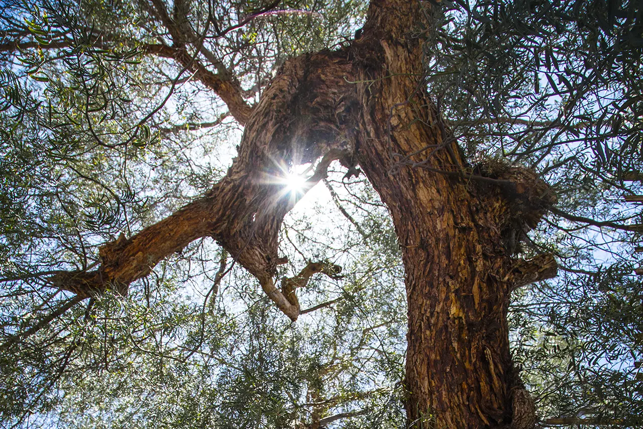 Terrantai Lodge Hotel