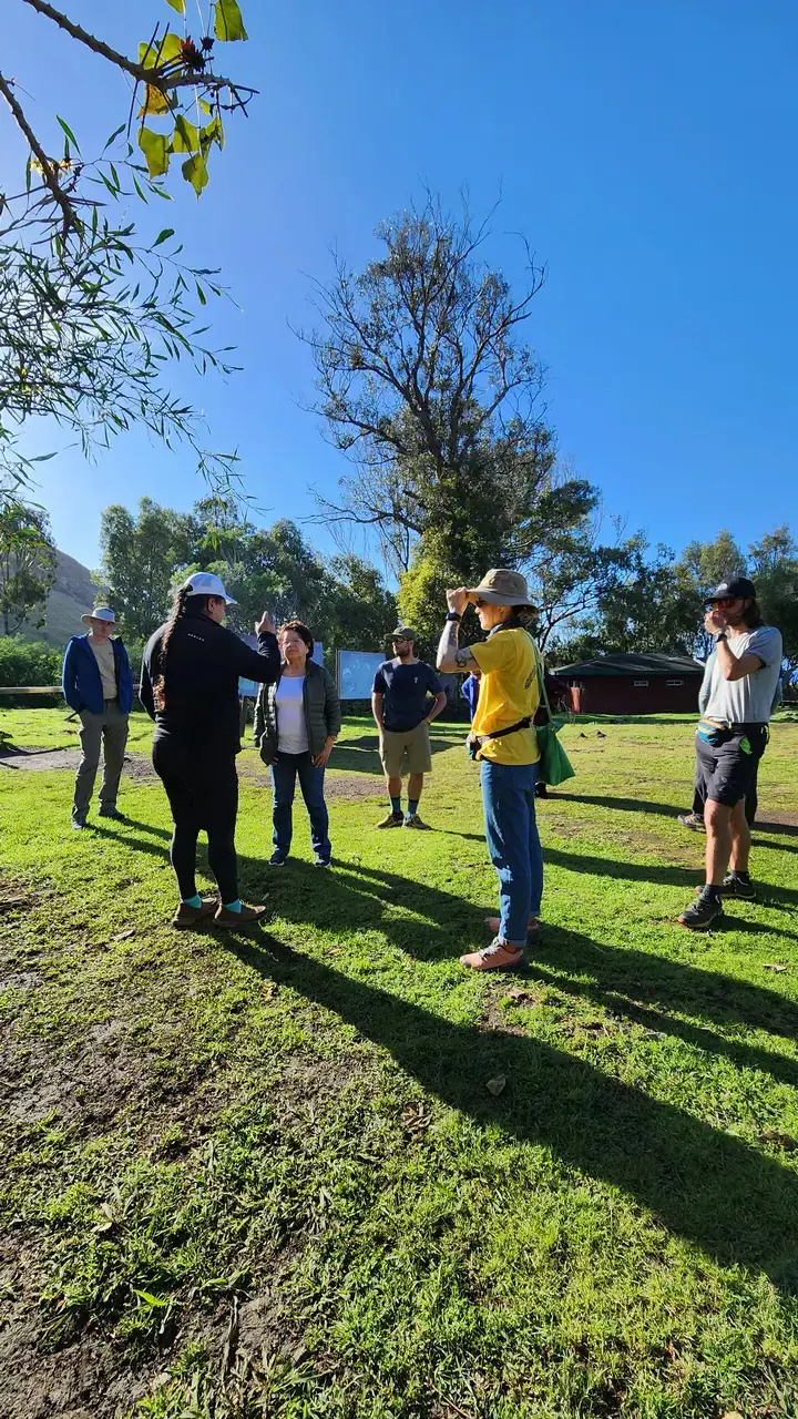 Paquete Rapa Nui Cabañas