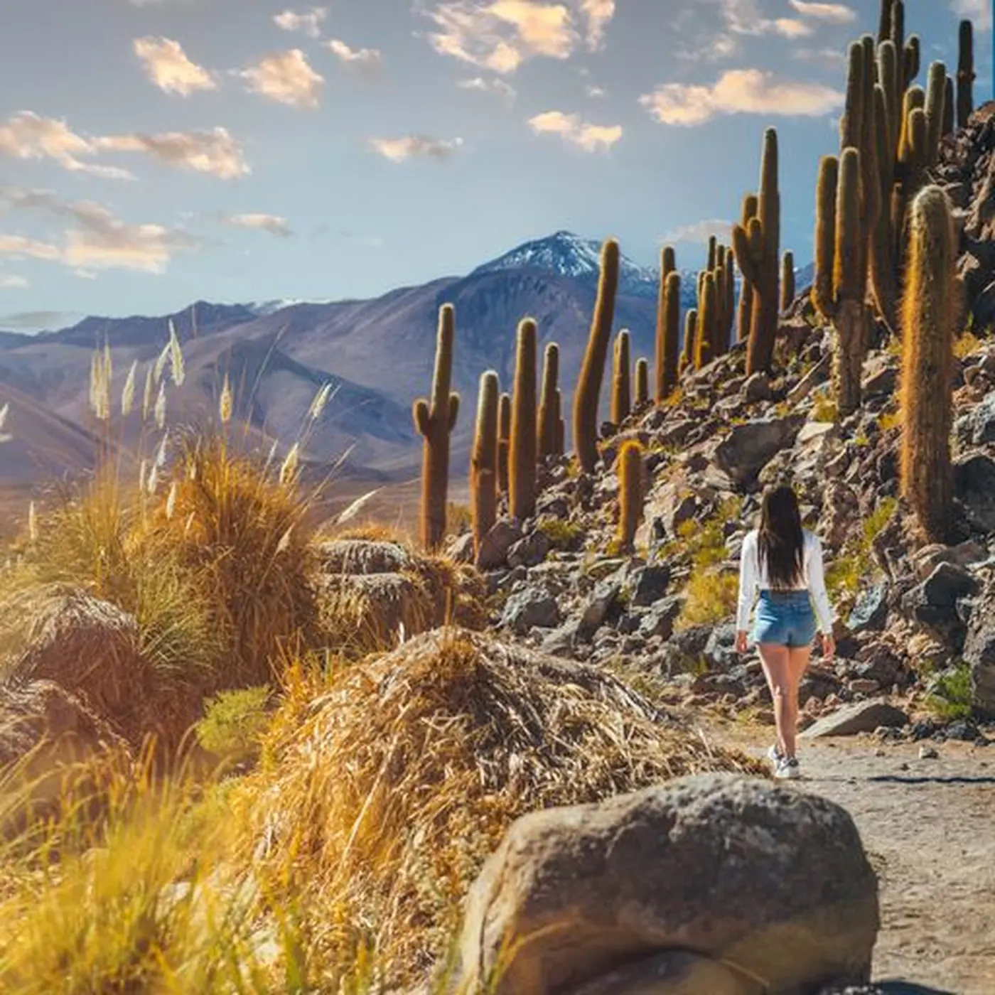 Experiencia Nayara Atacama