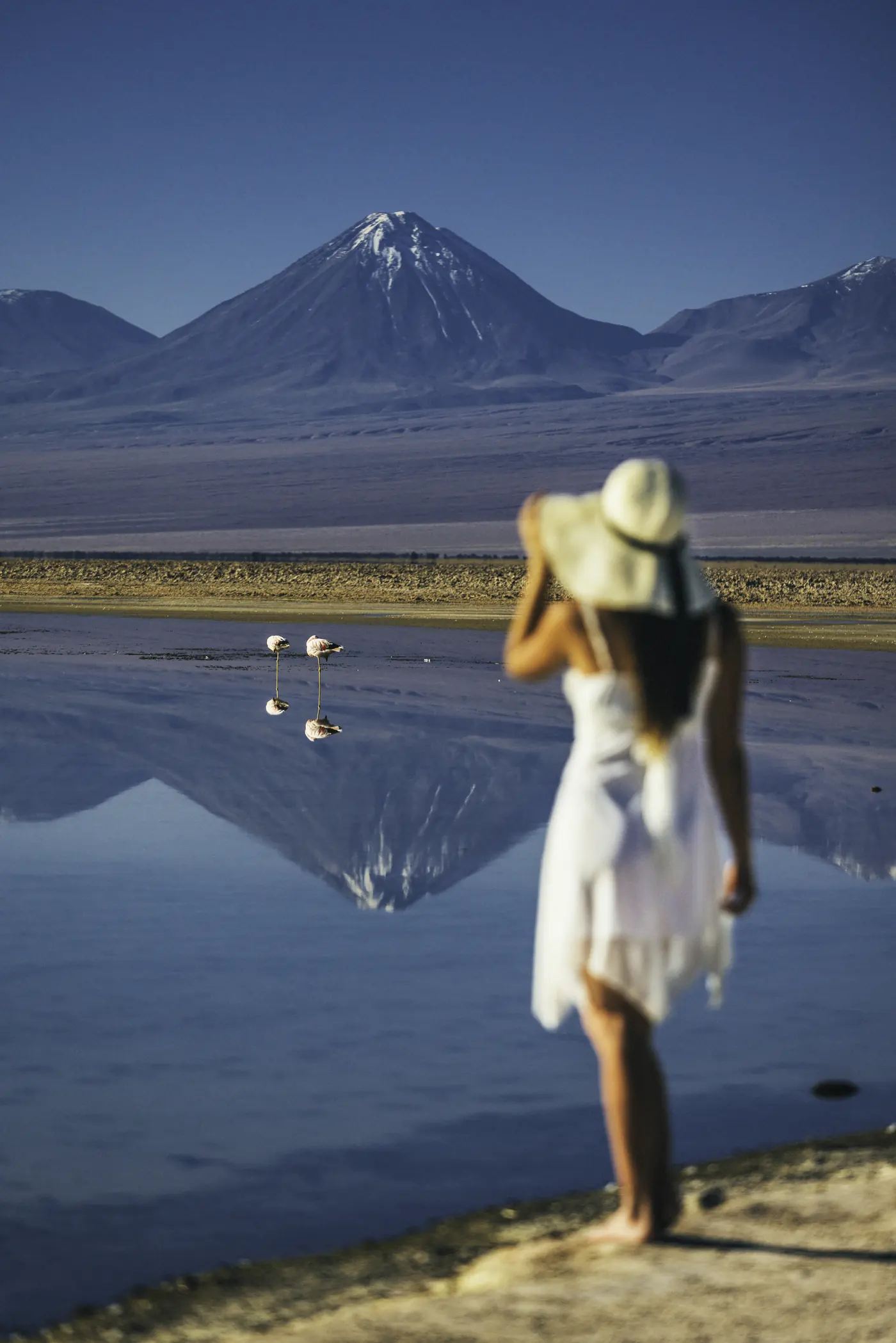 Experiencia Nayara Atacama